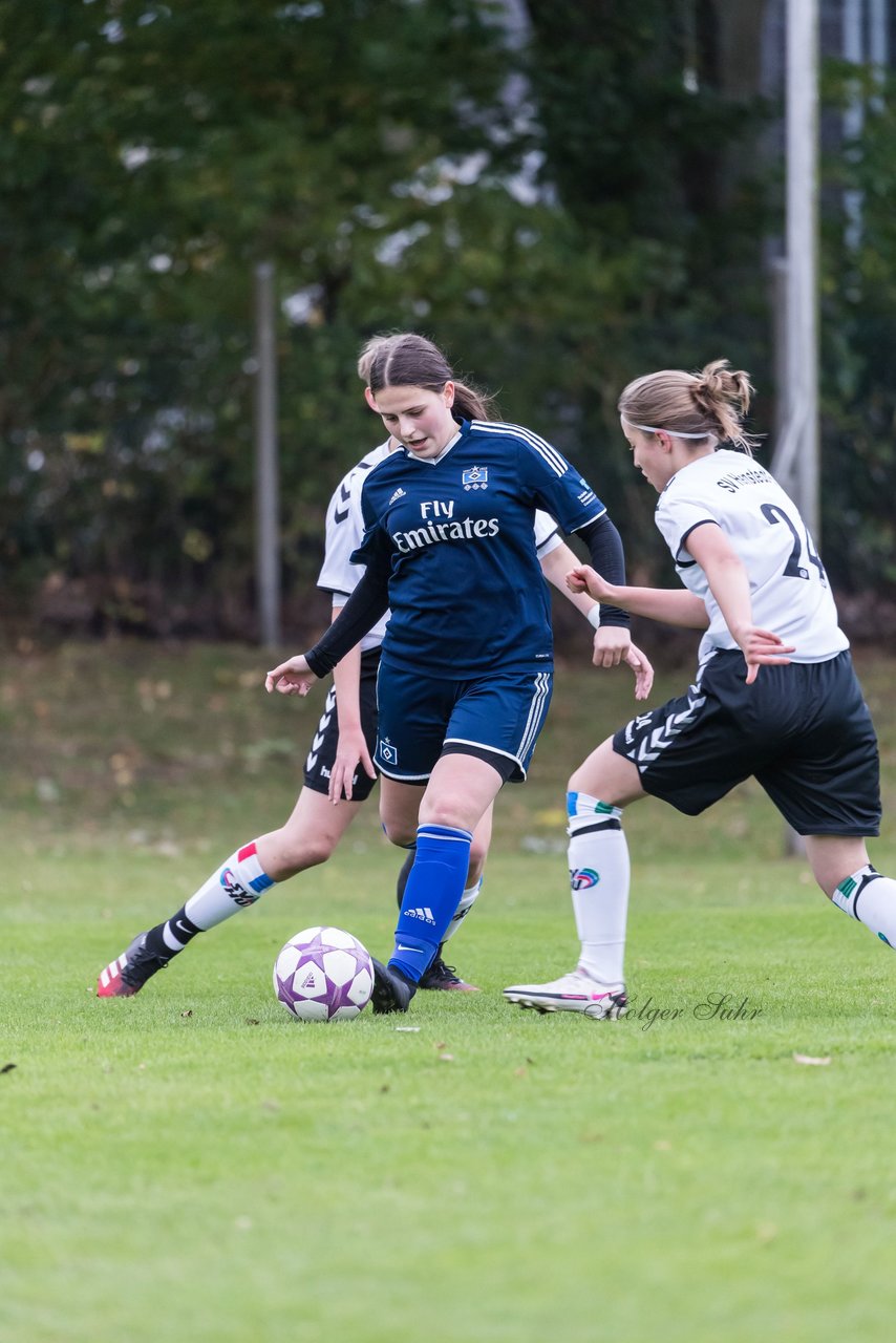 Bild 67 - B-Juniorinnen SV Henstedt Ulzburg - Hamburger SV : Ergebnis: 2:3